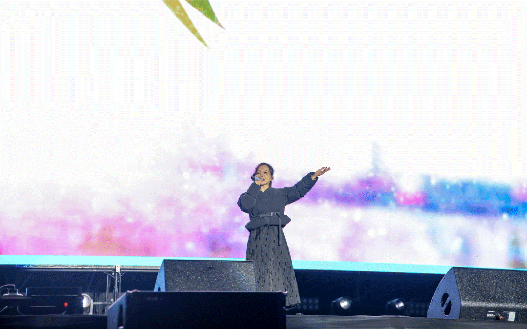平陽體育中心群星演唱會！超萬人圍觀，現(xiàn)場火爆High唱！