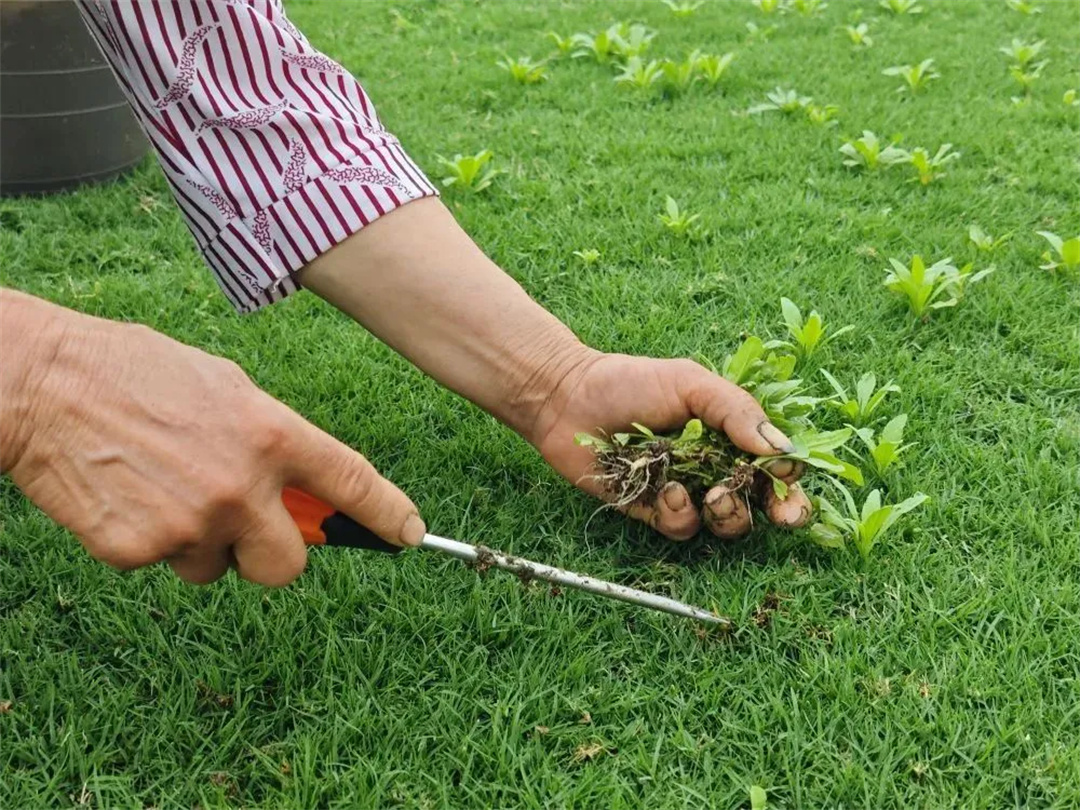 萬豪集團(tuán)匠心助力，6月齊聚重慶龍興足球場為國足吶喊助威！