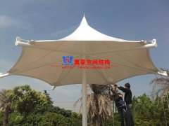 膜結(jié)構(gòu)形態(tài)有哪幾種？分別有哪些特點(diǎn)特征？